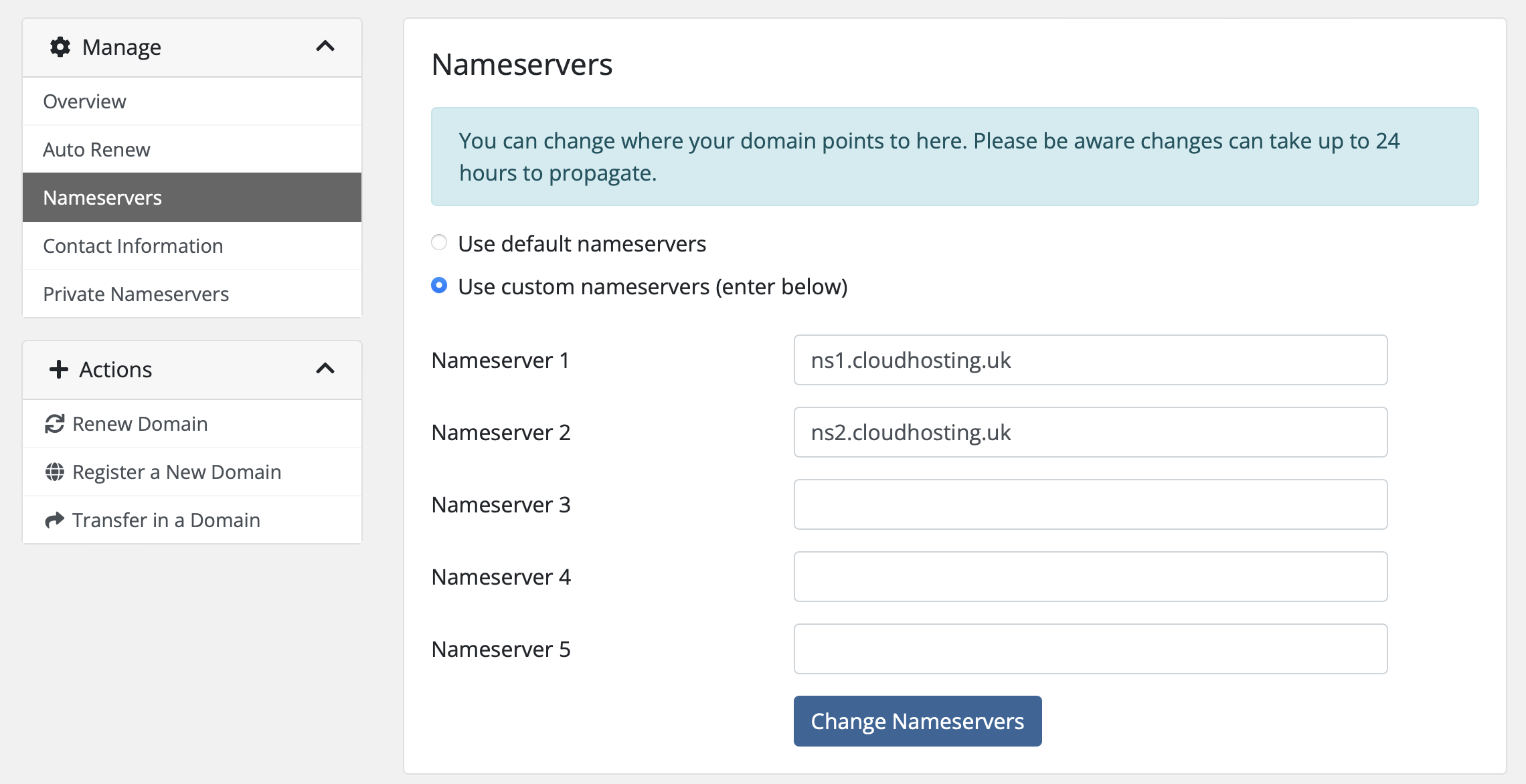 A domains nameserver page within the Client Area